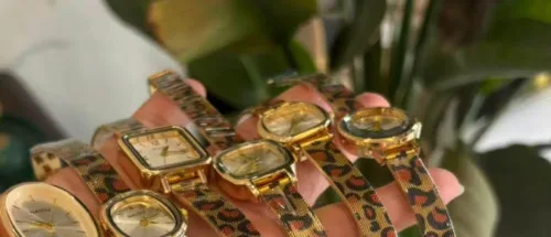 NAIDU Watch - Model 2