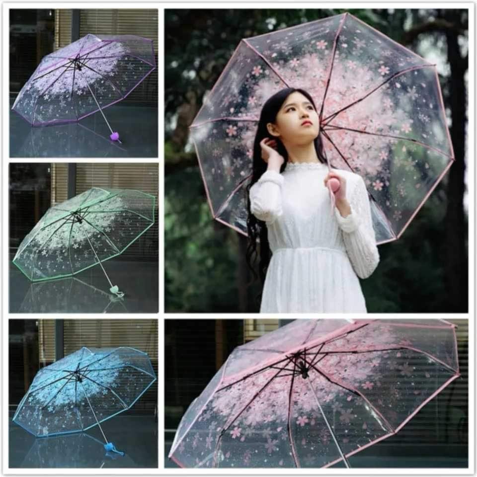 Transperant Umbrella 4 Color